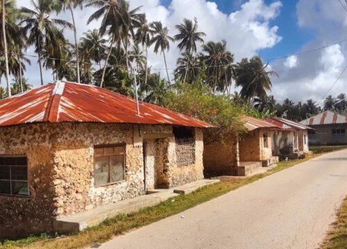 Kizimkazi Zanzibar: A Hidden Gem of Culture, Dolphins, and Coastal Beauty