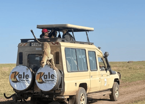 Tanzania Safari Package – The Ultimate African Wildlife Adventure