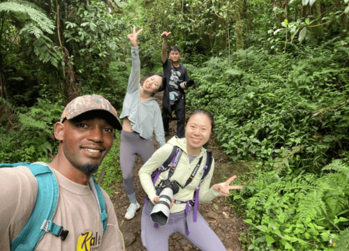 Kilimanjaro, Safari & Zanzibar Beaches: The Ultimate Tanzania Adventure
