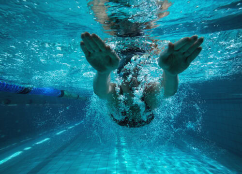 Learn to Swim with Squalo Divers!                               Swim School and Sharks Club in Cancun