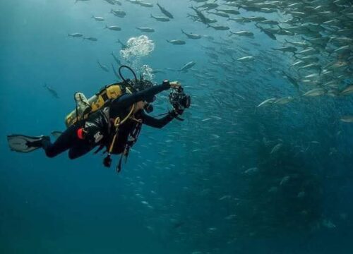 PADI Videographer specialty course