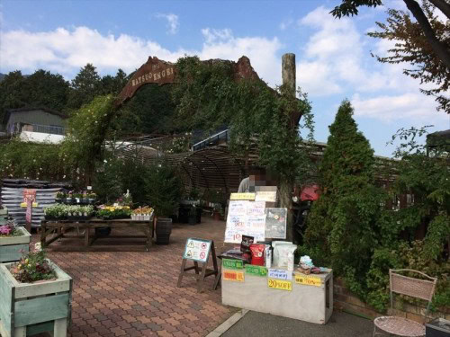まつおえんげいレビュー001