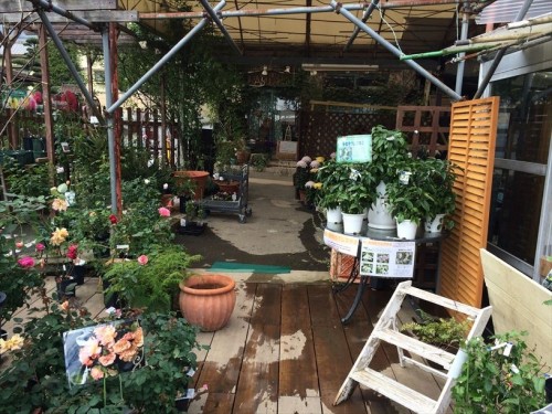 まつおえんげいレビュー010