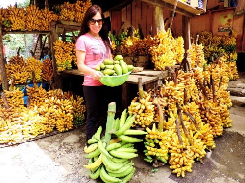 No chance of running out of bananas on this road trip
