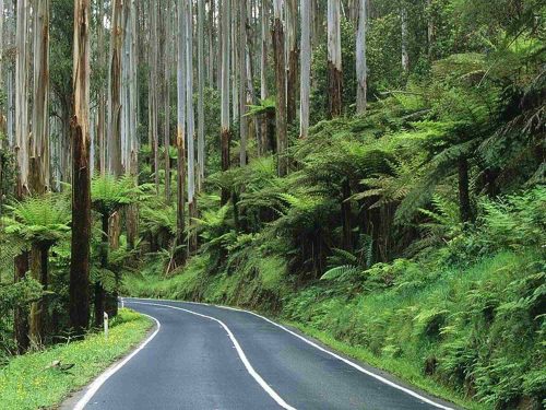 Melbourne to Sydney Drive & Return in 10 Days..plus.