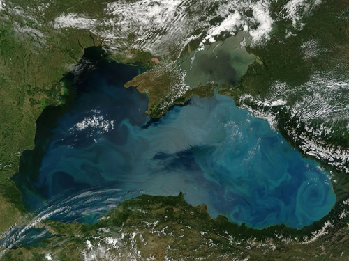 Разница между Эвтрофикацией и Цветением водорослей 3 Цветение водорослей в море