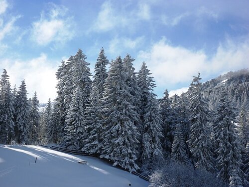 Plus d’1 mètre de neige attendue dans les Pyrénées