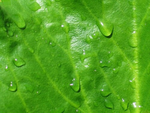 Pluie, grisaille, températures en baisse : une journée d’automne ce jeudi à Tarbes