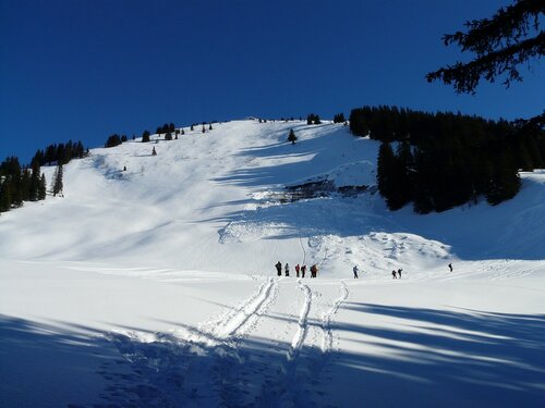 Avalanches et coulées de neige possibles sur les versants des Pyrénées Après les importantes chutes de neige de ces derniers jours, Météo France place trois départements des Pyrénées en alerte météo vigilance jaune pour risque d'avalanches. Sont concernés : les Pyrénées Atlantiques, les Hautes Pyrénées et la Haute Garonne. L'Ariège et les Pyrénées Orientales ne sont pas concernées. Météo France conseille "Soyez attentif si vous pratiquez des activités sensibles au risque météorologique ou à proximité d′un rivage ou d′un cours d′eau; des phénomènes habituels dans la région mais occasionnellement et localement dangereux sont en effet prévus; tenez-vous au courant de l’évolution de la situation".