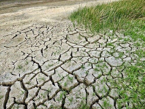 Coronavirus et Canicule un risque pour les Hôpitaux