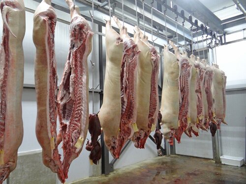 Les abattoirs de Tarbes et Maubourguet vont être modernisés avec le Plan France relance