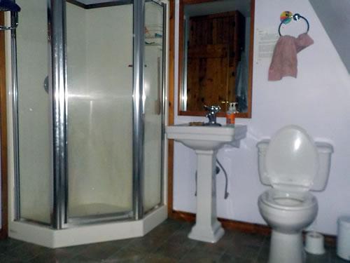 shower in the guesthouse