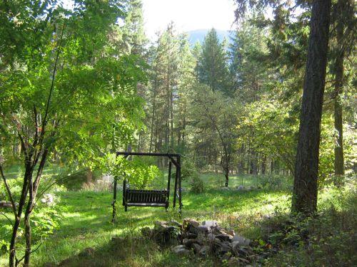 swing in the backyard