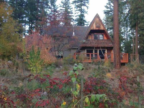 back of the guesthouse