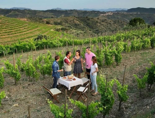Our wine tours include picnics and wine tasting in the vineyards, really taste the terroir