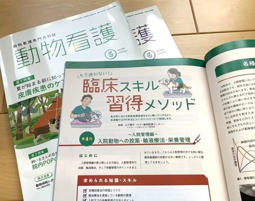 愛玩動物看護師が診察台の上の犬や猫に処置をしている