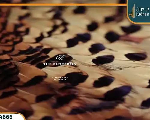 كمبوند ذا بترفلاي المستقبل سيتي The Butterfly من مدينة مصر