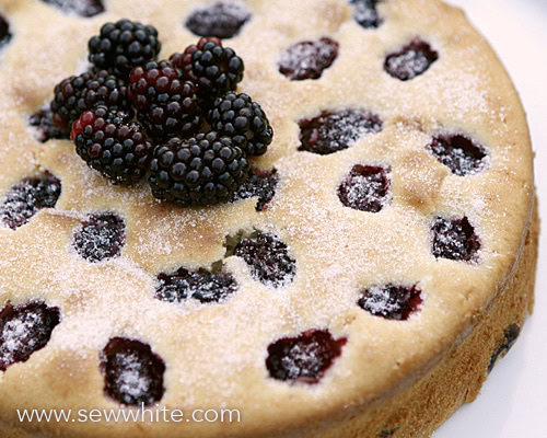 Sew White Autumn Apple and Blackberry cake 3