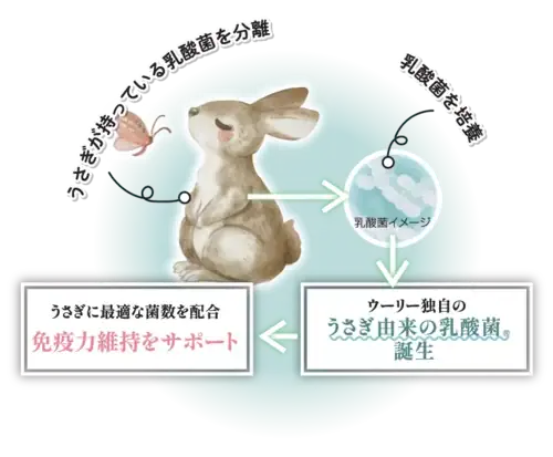 最適な菌数を科学的に決定の図