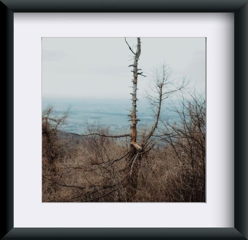 Fotografia "Strumień Myśli"