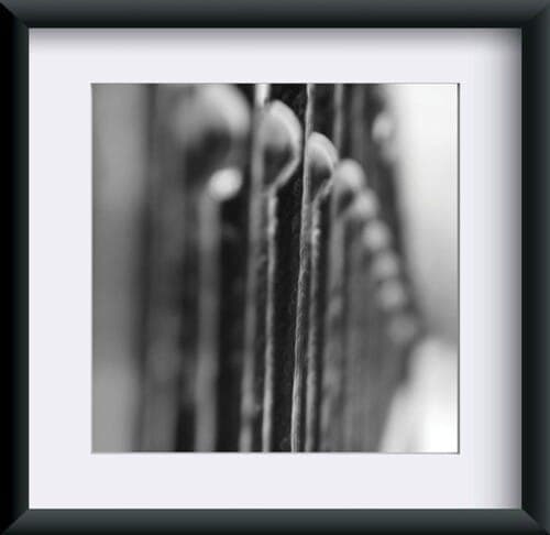 Fotografia "Harmonia"