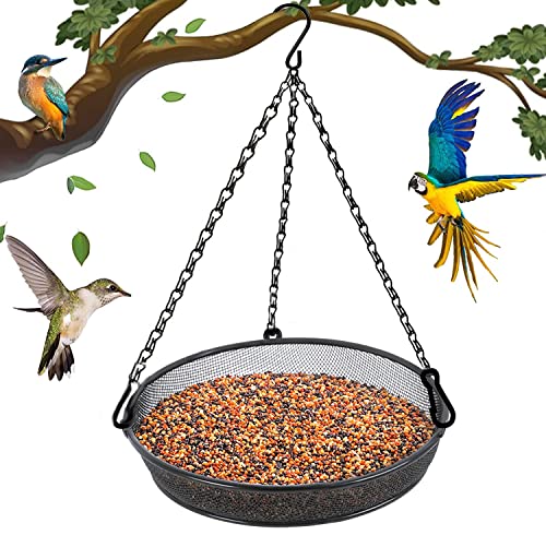 Tray Bird Feeder