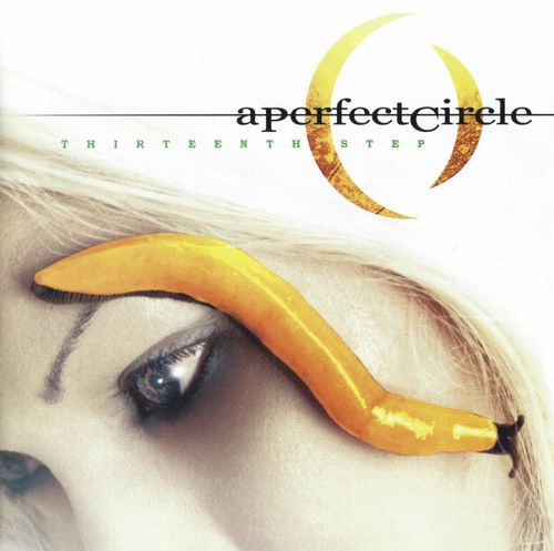 A Perfect Circle-Thirteenth Step -Hq- Music on vinyl 2-LP NL  NOVA