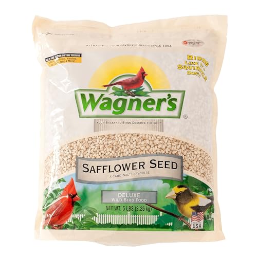 What Seeds Birds Eat