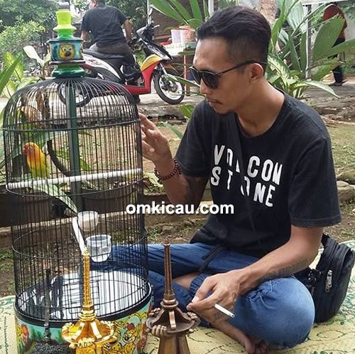 Om Danang Barker dan lovebird Roro