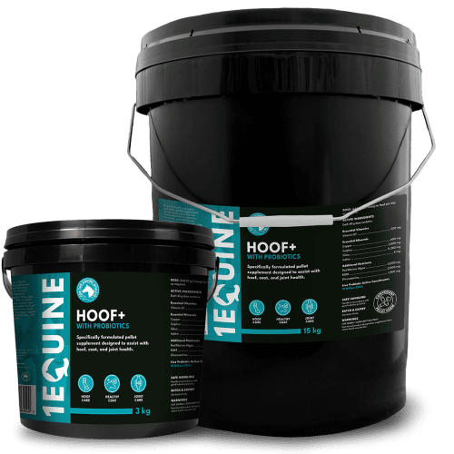 Hoof+