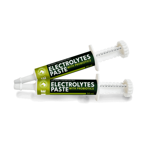 Electrolytes Paste