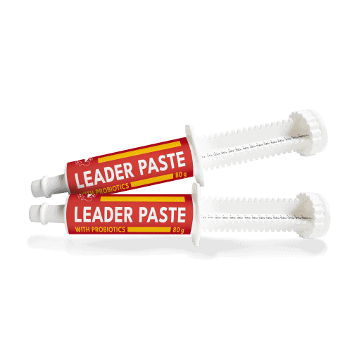 Leader Paste
