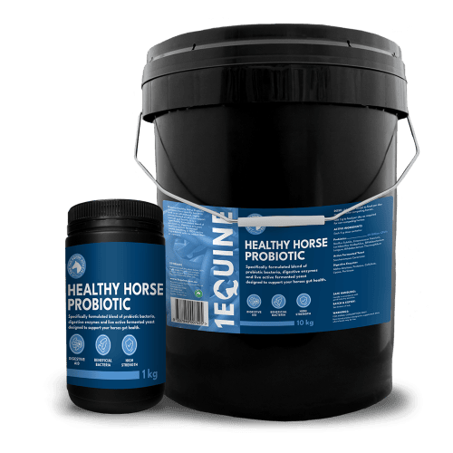 Healthy Horse Probiotic