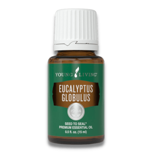 น้ำมันยูคาลิปตัส โกลบูลลัส Young Living Eucalyptus Globulus Essential Oil