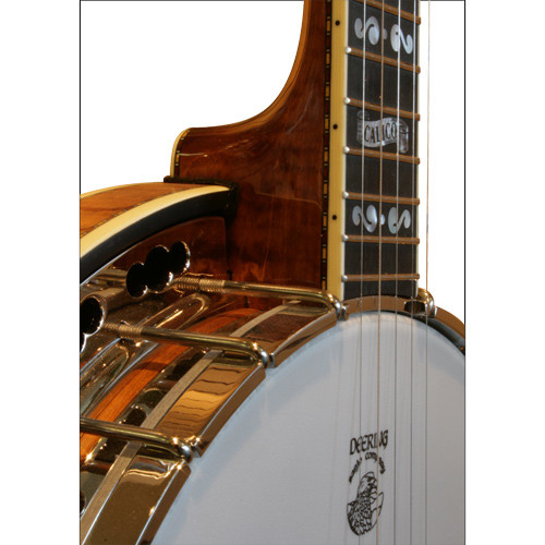 deering calico 5 string banjo