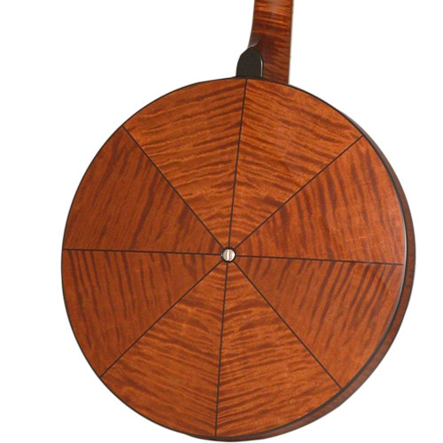 vega professional 19-fret tenor banjo