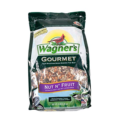 Best Bird Food to Attract Colorful Birds