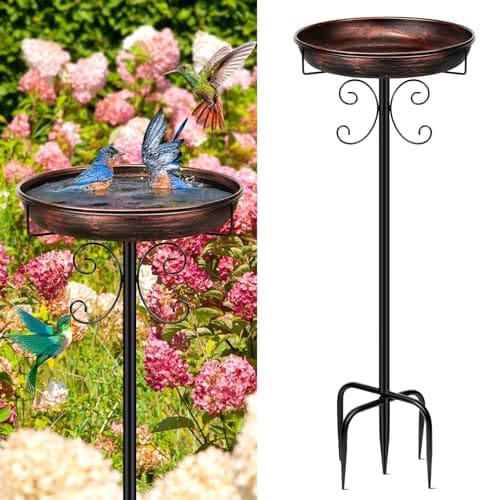 Bird Baths Outdoor