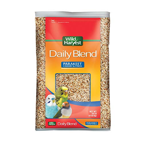 Bird Diet Differences between Pets And Wild
