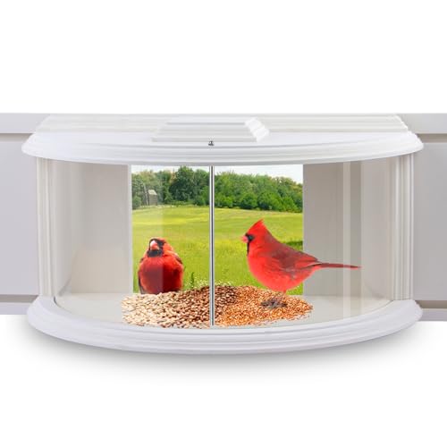Bird Feeder Inside Window