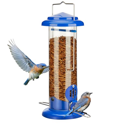 Bird Feeders for Mealworms