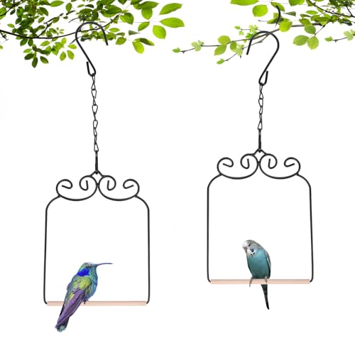 Bird Perch Outdoor