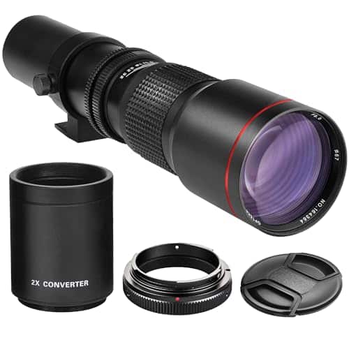 Bird Photography Lenses