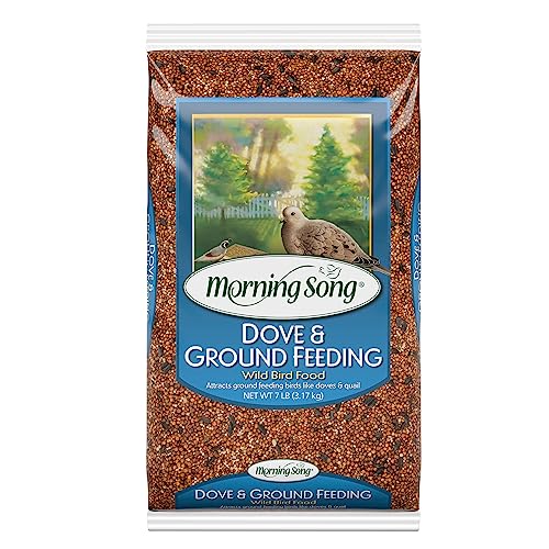 Bird Seed Milo