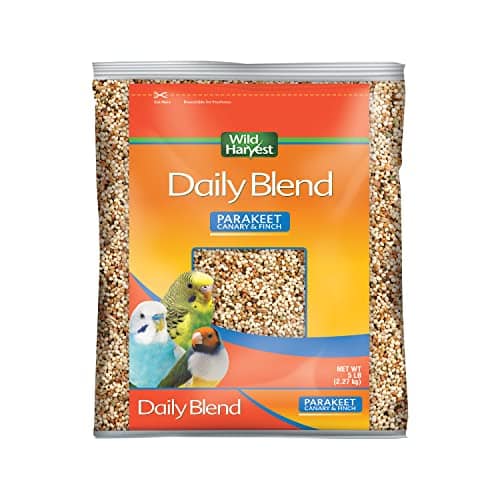 Bird Seed Parakeet