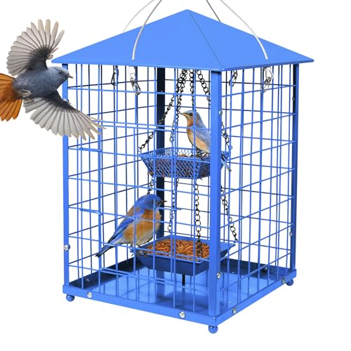 Blue Bird Feeder