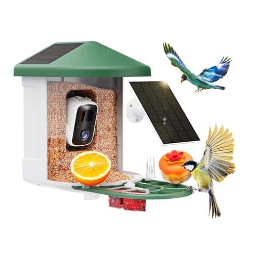 Camera for Bird Feeder