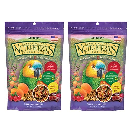 Do Birds Eat Cranberries