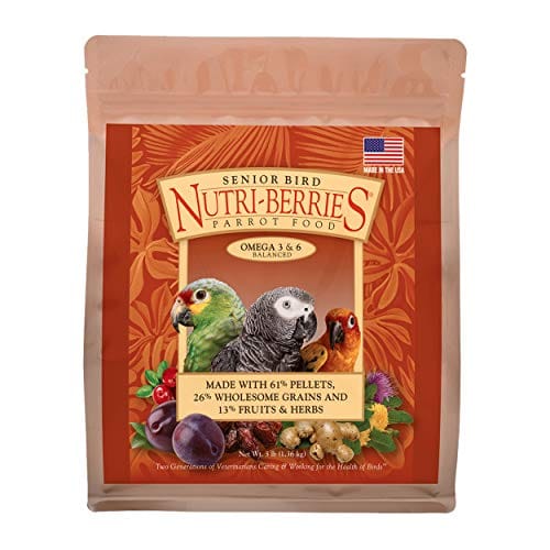 Do Birds Eat Elderberries