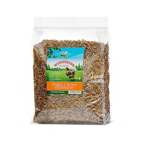 Dried Mealworms for Birds